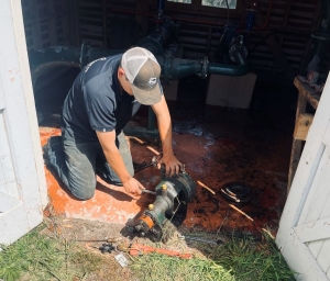 Service &amp; Maintenance