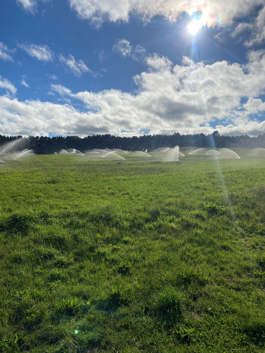 TDC Irrigation -Water Services NZ